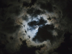 nathanielwood:  full moon last month. 