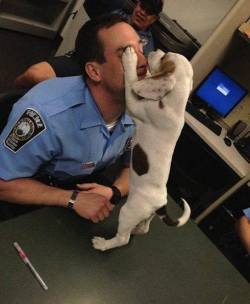 fake-mermaid:   Police officers rescued the little pup from an abusive owner. And then one adopted her.  