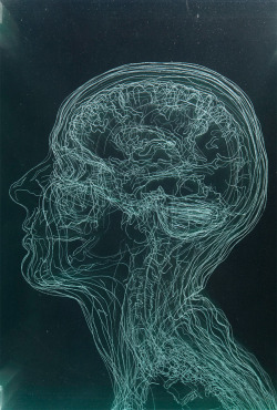 showslow:  Layered MRI Self-Portraits Engraved in Glass Sheets by Angela Palmer