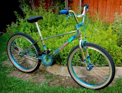 planetbmx:  tonightwedrinktomorrowweride:  2014 Haro Master 24” . You can find this amazing bike and it’s 26” big brother at PlanetBMX . Complete Bike or a Frame &amp; Fork Package and Frame &amp; Fork Package available in White or Chrome . ;) http://www.
