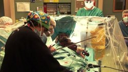 neuromorphogenesis:  Violinist Plays Mozart Through Her Own Brain Surgery Violinist Naomi Elishuv gave her surgeons their own private Mozart concert Tuesday — as they operated on her brain. Elishuv performed professionally with the Lithuanian National