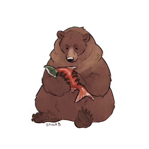 stinabart:[Image description: Digital art of a very plump brown bear sitting and holding a large salmon.]We’re coming to the end of Fat Bear Week! Katmai’s brown bears are getting ready to hibernate, during which time they can lose up to 33% of their