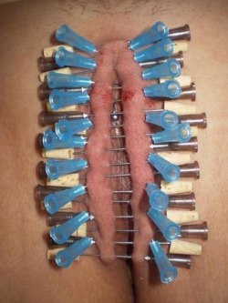 pussymodsgaloreBDSM pain games, needle play. Outer labia pierced horizontally by 17 long needles and vertically by 20 short ones. So considerate, I like the way he has put little corks on the ends of the long needles, we don’t want her to get spiked