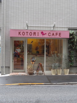 pacificpikachu:  Kotori Café, a bird café in Mitaka. It’s right across the street from the Ghibli Museum. I absolutely LOVED this café! The birds had such spacious, clean enclosures and looked super healthy and happy, the food was delicious, adorable,