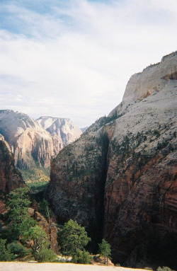 cemetrees:  Looking Down Zion Canyon from the West Rim by Tom Karr on Flickr.