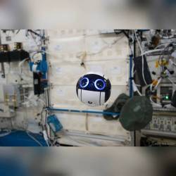 Int-Ball Drone Activated on the Space Station #nasa #apod #jaxa #iss #japan #internationalspacestation #intball #drone #orbit #earth #solarsystem #space #science #astronomy