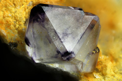 underthescopemineral:   Fluorite CaF2Locality:Montoso Quarries, Bagnolo Piemonte, Cuneo Province, Piedmont, Italy Field of View: 4 mm Classic bicolored crystal of fluorite. Pasquale Antonazzo’s Photo   Fluorite is one of the more famous fluorescent
