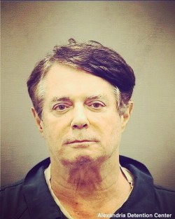 Traitor. Swamp creature. Lock him up. Criminal. Witch hunt victim. #witch #monster #fuckhisfeelings #fucktrump #resist