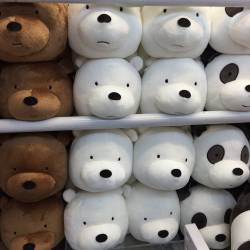webareebears:Bear plushies that are in harajuku shop Japan