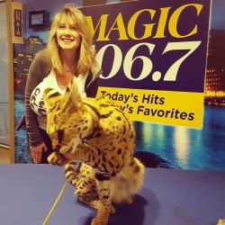 Robust radio personality Nancy Quill meets some animals in a Beatles print tee that is reaching the breaking point. Help!
