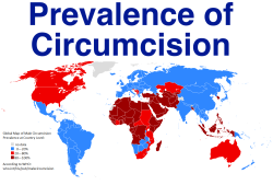 itllmakeyoushoot:  chad-hunter:  zombiefashionclub:  chad-hunter:  mapsontheweb:  Prevalence of Male Circumcision by Country  And here I was thinking circumcision was the Christian thing to do.  Christianity exists outside of the Global North…  I know.