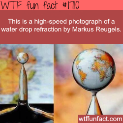 wtf-fun-factss:  High-speed photograph of water drop - WTF fun facts