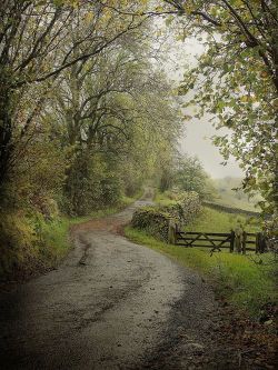 bonitavista: Cumbria, England  photo via johanna