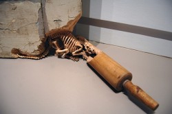 cornchipz:  thebeardsnotes:  Skeletal Creatures Carved Out Of Everyday Objects Artist - Maskull Lasserre   his name is maskull and he carves skeletons you have no idea how happy this makes me 