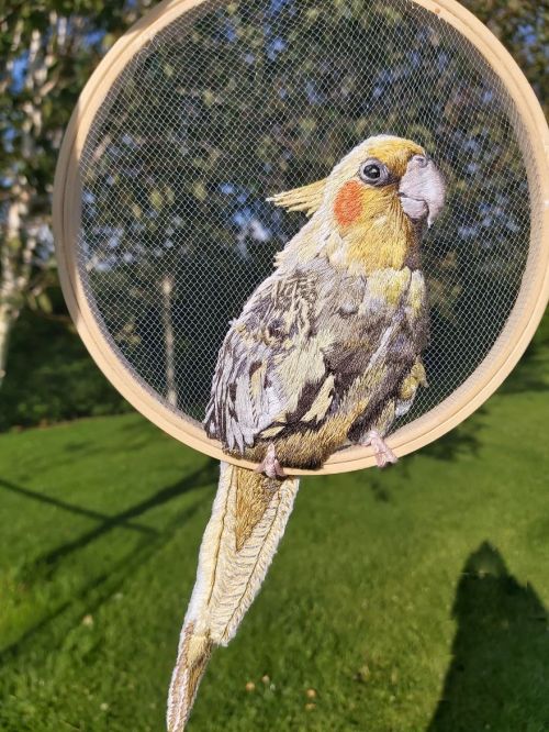 blondebrainpower:Beth Carroll from Beth Carroll Art is an Australian artist, living and working in Ireland.She started embroidery last year but recently gave into urges to play with embroidery on tulle. Her work quickly took on a life of it’s own, even