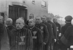 anti-clerical:  ramirezbundydahmer:  When the Nazi concentration camps were liberated by the Allies, it was a time of great jubilation for the tens of thousands of people incarcerated in them. But an often forgotten fact of this time is that prisoners