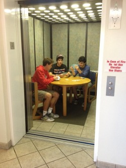 officialstarscream:  littlealiceisinwonderland:  haedia:  thewolfofnibu:  stahscre4m:  there are guys in my dorm who decided to play cards in the elevator  see what intrigues me about college isn’t the intellectual pursuit or the bonding or whatever,