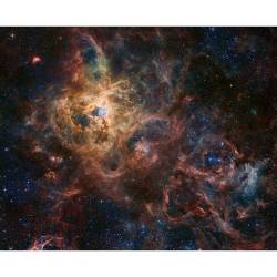 The Tarantula Nebula #nasa #apod #hubble #eso #tarantulanebula #ngc2070 #largemagellaniccloud #stellarwinds #supernovashocks #r136 #clouds #interstellar #intergalactic #universe #space #science #astronomy