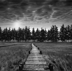 whitesoulblackheart:  Wood way by Jean-Michel Priaux &ldquo;… two roads diverged in a wood, and I took the one less travelled by, And that has made all the difference.” — Robert Frost (please leave quote and credits … Ƹ̴Ӂ̴Ʒ) 