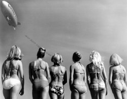 the60sbazaar:  Sixties beach girls    BEACH BLANKET BINGO  (1964)
