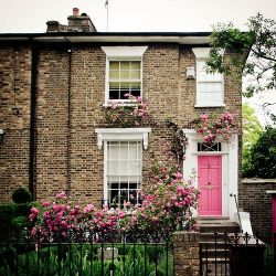 interior-design-home: House of roses 🌹  Islington, London  