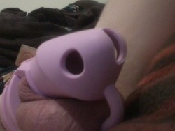 wanttobefem:  My first chastity device. So pretty in pink ;-) 