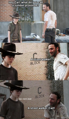 moartrees:  lookatwhattheyredoingtome:  Dad jokes brought to you by Rick Grimes  Im dead 