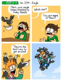 eddsworld:  Another birdbrained scheme…This comic was written and illustrated by Tobias Knittknittcartoon.tumblr.com/www.youtube.com/channel/UCvmv0…Read more at www.eddsworld.co.uk