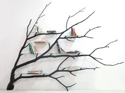wordsnquotes:  culturenlifestyle:  Functional Book Shelves and Tables Constructed From Fallen South American Trees by Sebastian Errazuriz Artist and designer Sebastian Errazuriz’s has created conceptually and physical stunning furniture, which pays