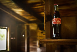 insanelygaming:  Shelved Nuka Cola Created by Maewolf86