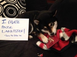 dogshaming:  Winter is coming  Sign reads “I (H)ate House Lannister”. We came home one day to find that Saru had chewed up one of our four Game of Thrones coasters.