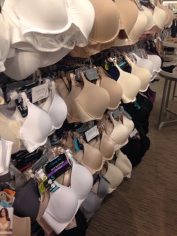 princessblogonoke:  shersock:  spenncerreid:  Larger breast bras vs. smaller breast bras  t h is   oh my word i’ve never noticed this due to shopping in the latter section… Why is this not more of an argument already?! this is horrid, i can’t imagine