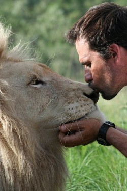 wonderous-world:  Kevin Richardson, ”The Lion Whisper” works with his Wildlife Sanctuary to provide a self-sustaining African carnivore sanctuary for the purposes of wild species preservation through education, awareness and funding, especially