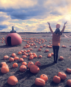 googlephotos:  I’m the King of the World… or the Queen of the #Pumpkin Patch. Search for these #autumn memories with Google Photos. 