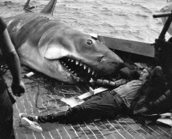 Robert Shaw relaxing on set of Jaws, 1975.