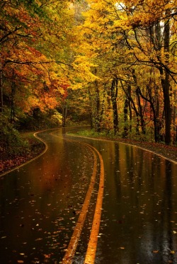koukadlbr:     Yellow Leaf Road, North Carolina   