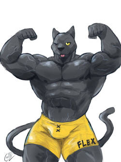 colddog1234:  Panther bodybuilder 