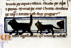 in-ois-oisou:  Medieval kittens, from a 13th century English manuscript, (Bodleian Library, MS. Bodl. 533, fol. 13r) 