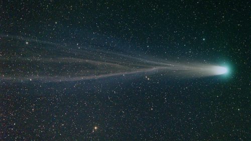 the-wolf-and-moon:     Comet Leonard, Christmas Comet