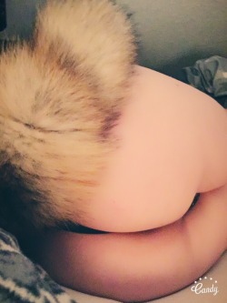 sagepuppy:What what puppy butt I wish I could use my silicone tail T.T  Also guys I dont know how to be cute or sexy xD someone teach me
