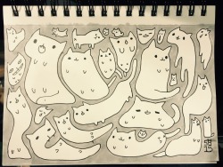 steamedbunnies:  Drew some cats at momocon
