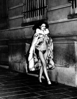vivipiuomeno:  Helmut Newton ph. , Lady in Fur …. and now, let’s go! 