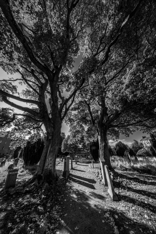 pershing100:  Greyfriars Burial Ground, Perth  Please do not post this image outside of TumblrIf you repost within Tumblr please include all credits.Please do not repost to NSFW   