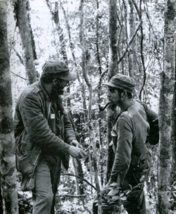   Fidel Castro and Che   