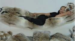 fur-fetish:  A fur hammock?A fur hammock? Why not? We’ve talked about all the other uses for fur, fur coats, fur wraps, fur throws, fur boas, so why not some, well, unorthodox uses for fur. I think you’d agree that a fur hammock certainly makes the