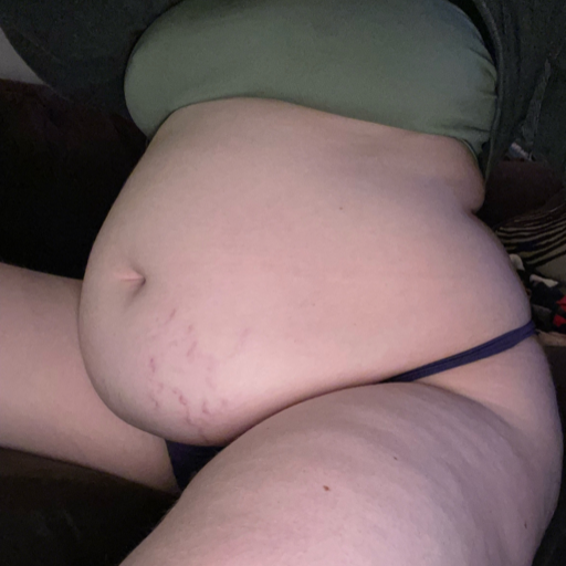 peach-belly:when I first started gaining, stuffed, vs now, not full or even stuffed but also not empty. honestly, is there a difference? I feel like I look bigger everywhere but mostly the back roll stands out to me along with my lower belly jutting out