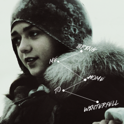 saltinthewounds:  …and bring me home to Winterfell. Make me a water dancer and a wolf and not afraid again, ever. 