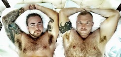 bearpitpig:  #HairyPits #Armpits #Bear #Pits #MuscleBear #Hairy #Pig #Furry #FurryPits #Pit #ManlyPits