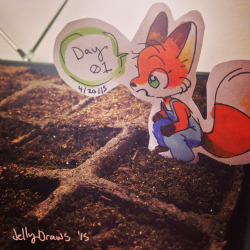 itscarororo:  jellydraws:  I started some seeds, and this little fox has been hanging around them. Also! Order update! Savanna Start stickers are on their way to me, so if you ordered some, they should be shipping sometime next week! Actually, all orders