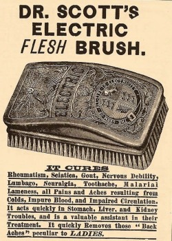 Electric flesh brush